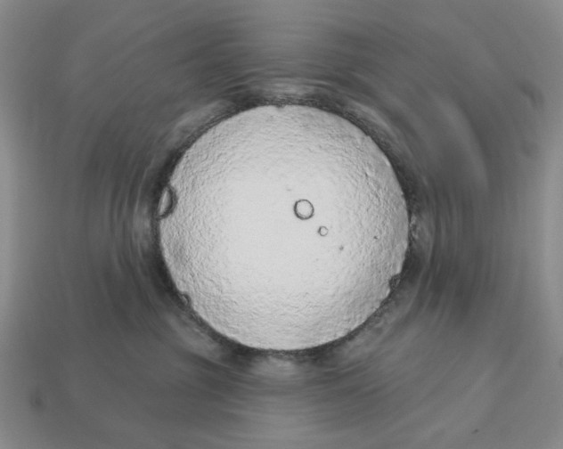 X0000112780381200909101617