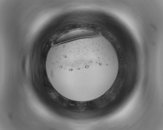 X0000112780382200909101617