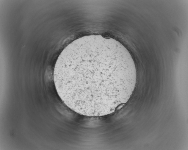 X0000112780384200909101617