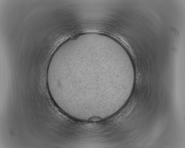 X0000112780385200909101617