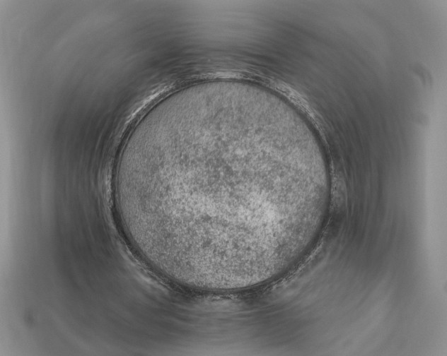 X0000112780386200909101617