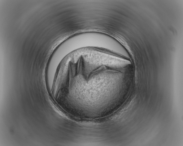 X0000112780389200909101617