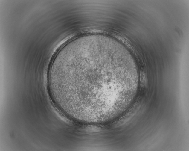 X0000112780390200909101617