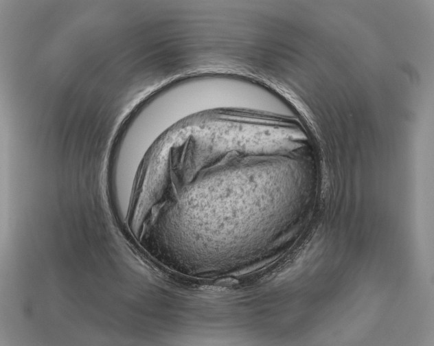 X0000112780391200909101617