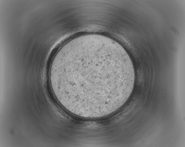 X0000112780392200909101617