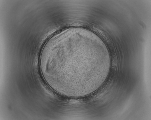 X0000112780394200909101617