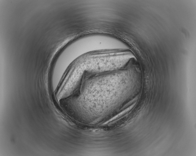 X0000112780395200909101617