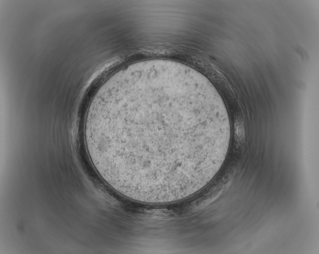 X0000112780396200909101617