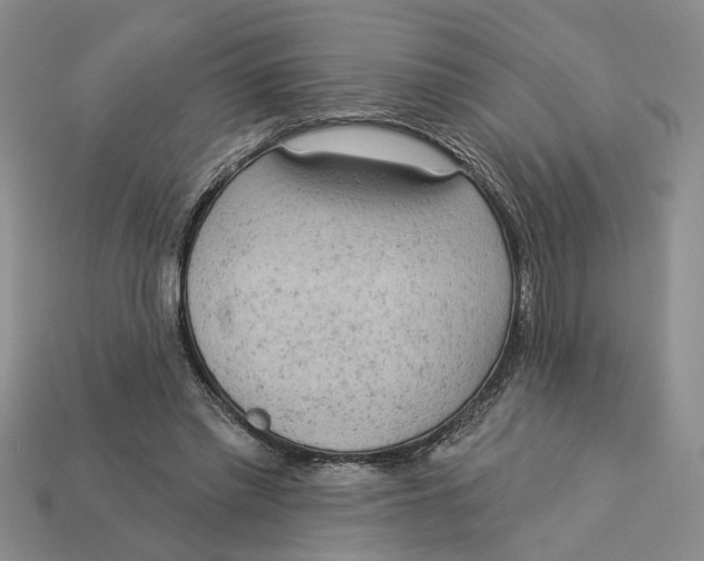 X0000112780397200909101617