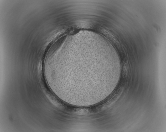 X0000112780398200909101617