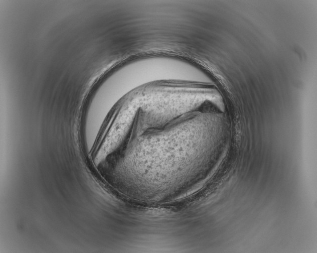 X0000112780399200909101617