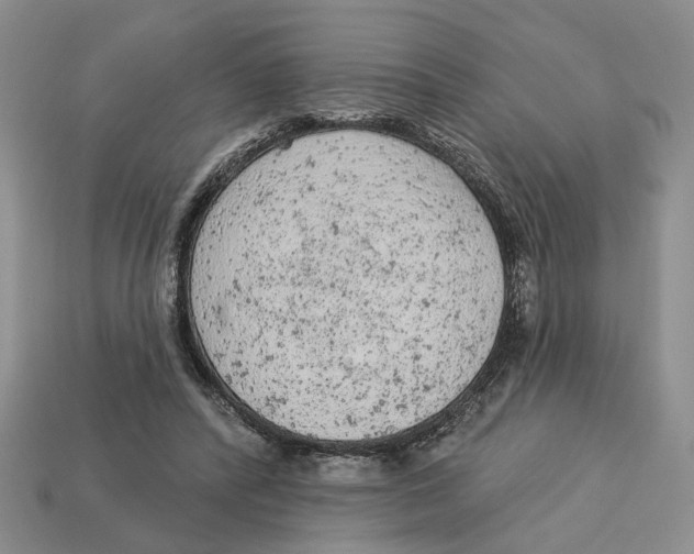 X0000112780400200909101617