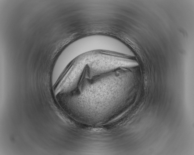 X0000112780401200909101617