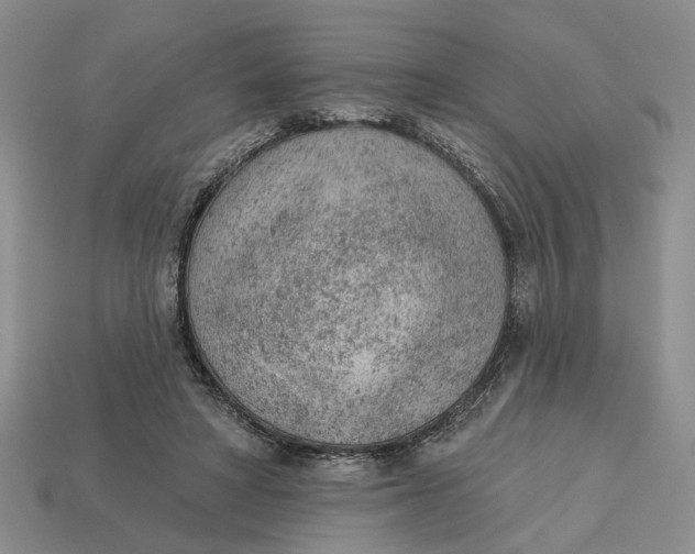 X0000112780402200909101617