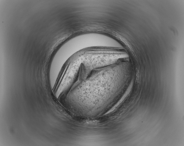 X0000112780403200909101617