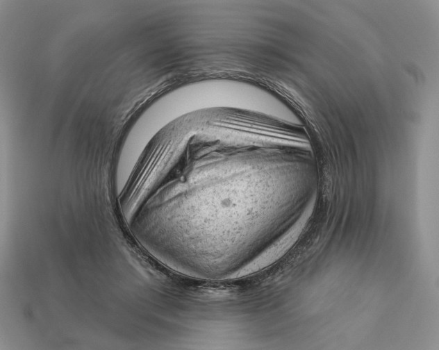 X0000112780405200909101616