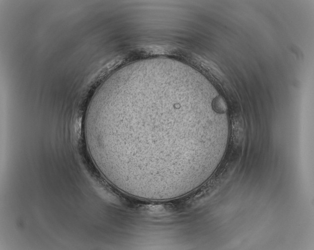 X0000112780406200909101616