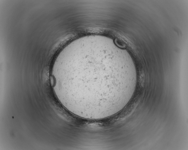 X0000112780407200909101616