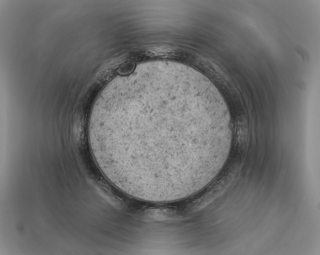 X0000112780408200909101616