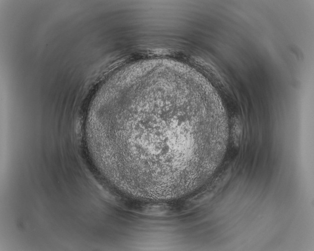 X0000112780410200909101616