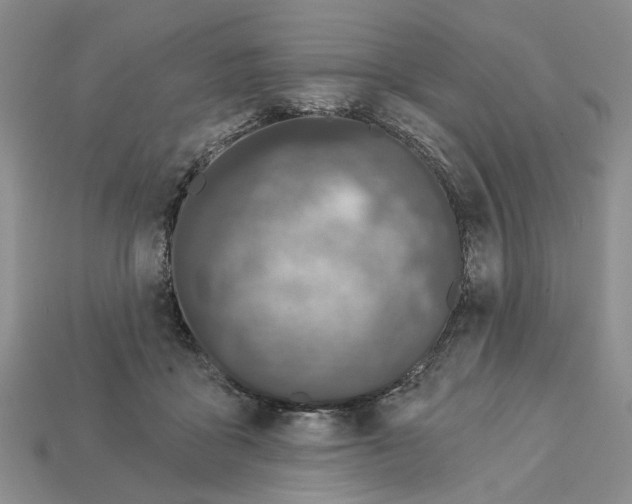 X0000112780411200909101616