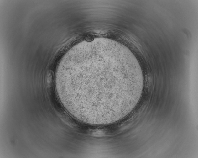 X0000112780412200909101616