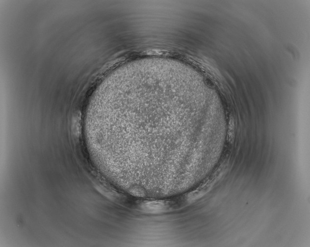 X0000112780413200909101616