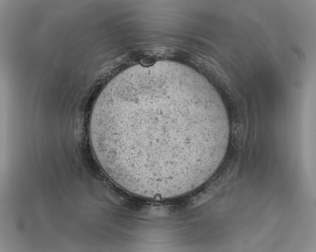 X0000112780416200909101616