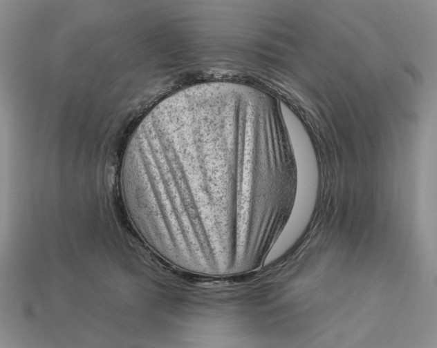 X0000112780417200909101616