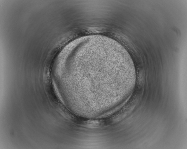 X0000112780418200909101616