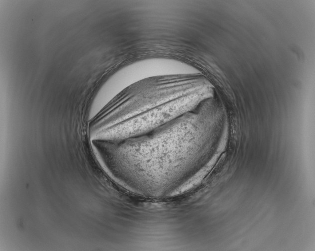 X0000112780419200909101616