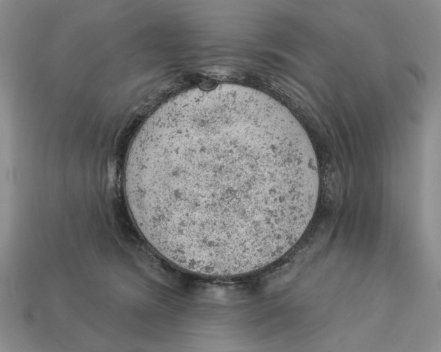 X0000112780420200909101616