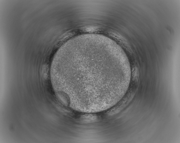 X0000112780421200909101616