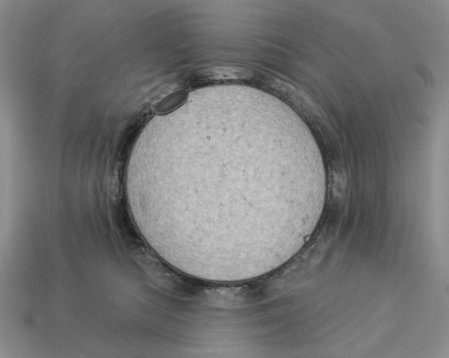 X0000112780422200909101616