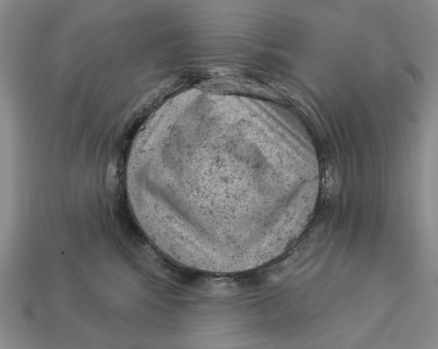 X0000112780424200909101616