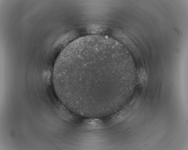 X0000112780427200909101616