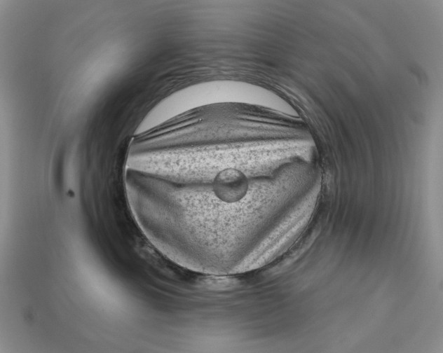 X0000112780429200909101616