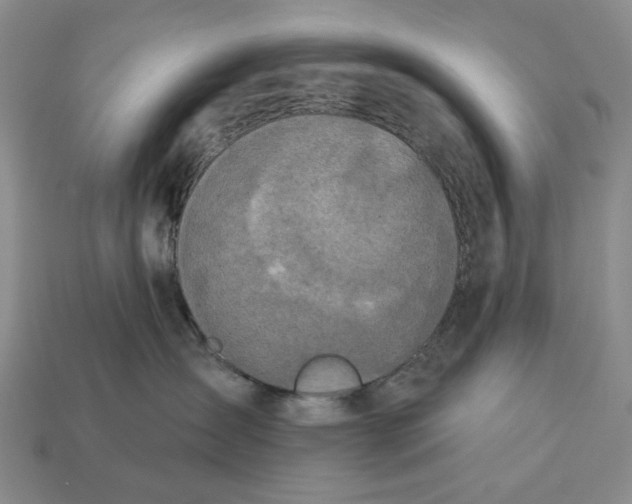 X0000112780431200909101616