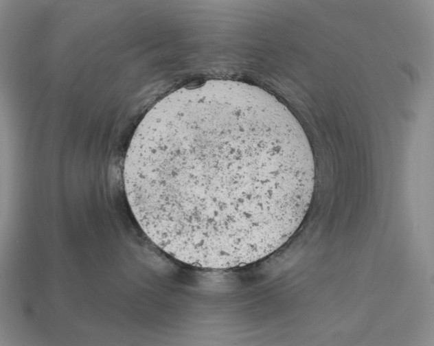 X0000112780432200909101616