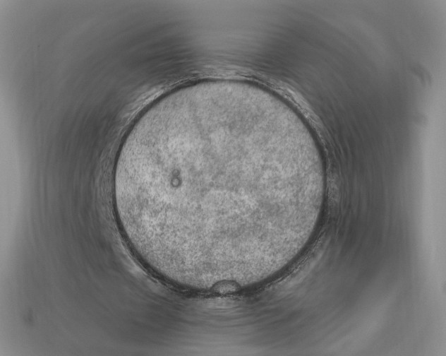 X0000112780433200909101615