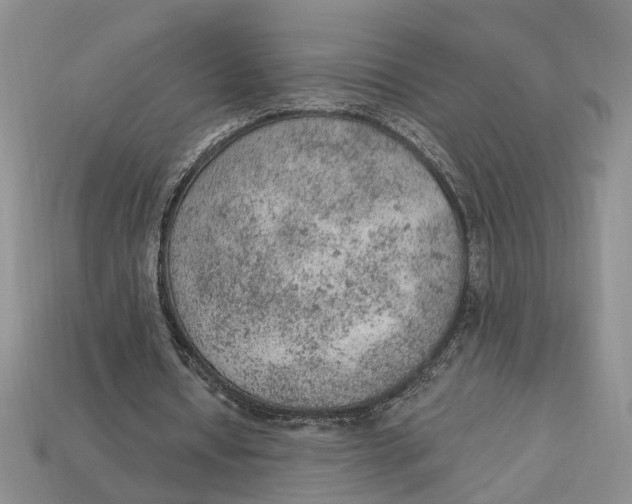 X0000112780434200909101615