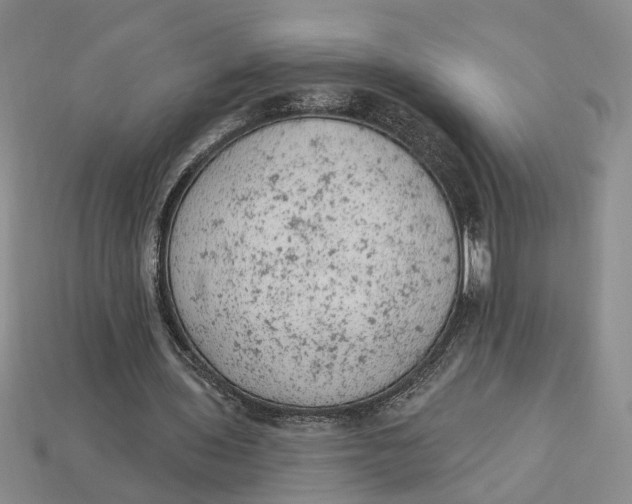 X0000112780435200909101615