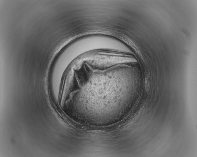 X0000112780436200909101615