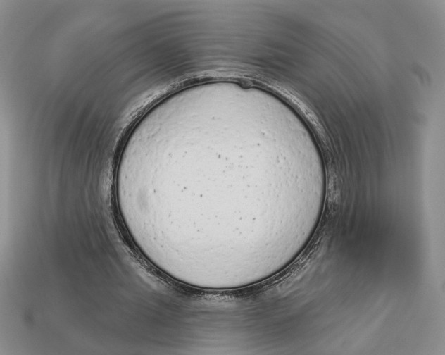 X0000112780437200909101615