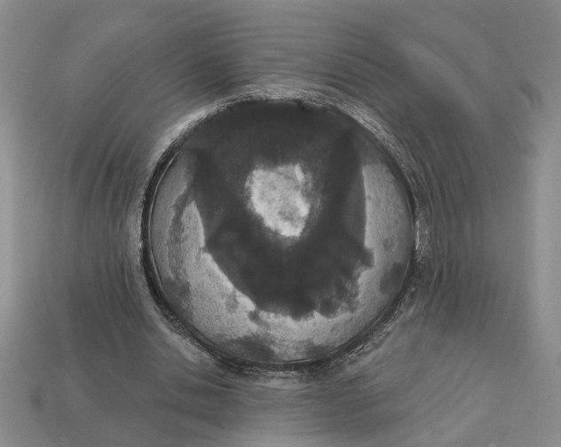 X0000112780438200909101615