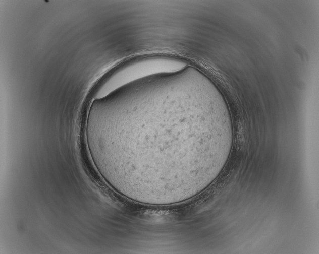 X0000112780440200909101615