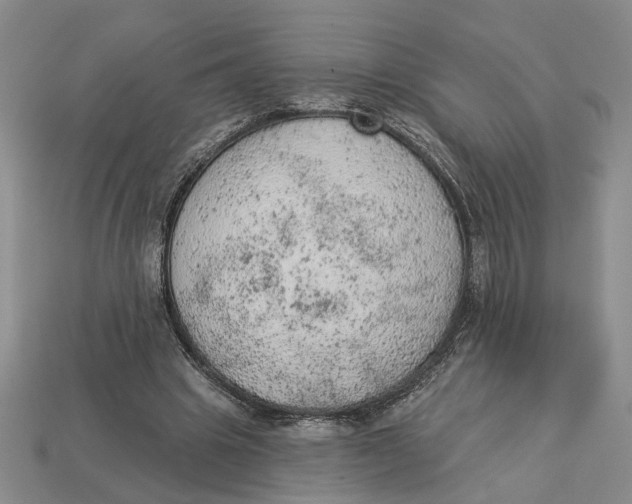 X0000112780441200909101615