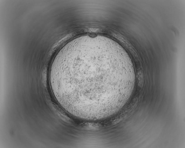 X0000112780442200909101615