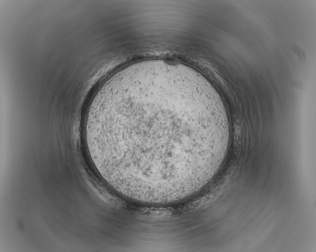 X0000112780443200909101615