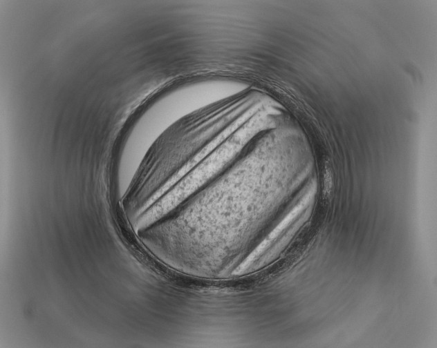 X0000112780444200909101615